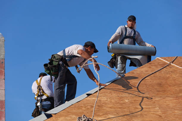 Best Metal Roofing Contractor  in Baileyton, AL